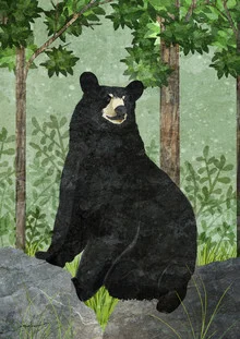 Illustration of a black bear by Katherine Blower in the woods with soft green tones.