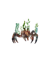 Katherine Blower, Crab and Kelp