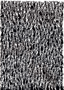 Katherine Blower, Black Cat Pattern
