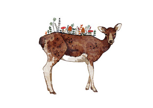 Katherine Blower, Autumn Deer