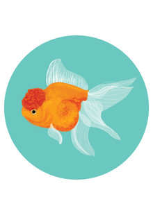 Katherine Blower, Fancy Goldfish