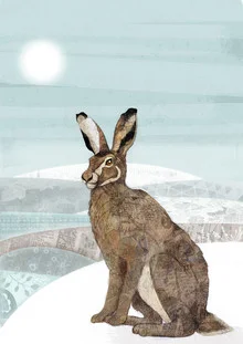 Illustration von Katherine Blower: schneehaas im Winterwald, freundlich und ruhig