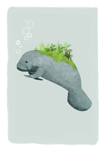 Katherine Blower, Manatee