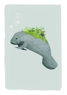 Wandbild von Katherine Blower: süßer Manatee schwimmt durch grüne Wasserpflanzen