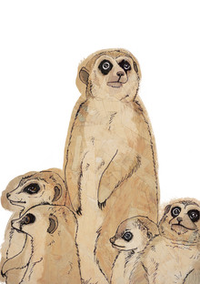 Katherine Blower, Meerkat Family
