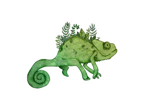 Katherine Blower, Chameleon