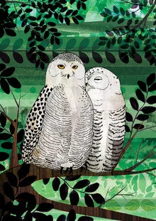 Illustration by Katherine Blower: two snowy owls perched on a branch