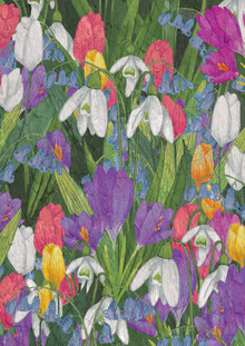 Katherine Blower, Spring Flowers