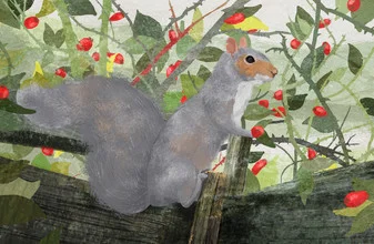 Illustration eines süßen Eichhörnchens mit roten Beeren im Garten.