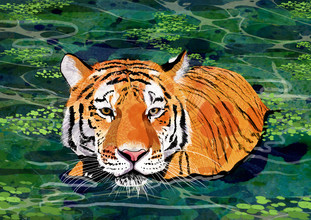 Katherine Blower, Tiger