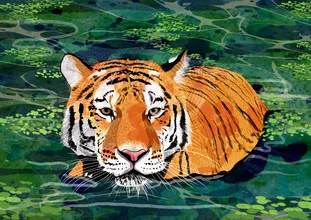 Illustration by Katherine Blower: a relaxed tiger in a natural setting