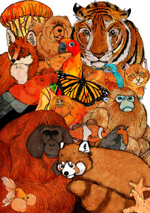 Katherine Blower, Orange Animals