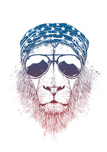 Balazs Solti, Wild lion (Hungary, Europe)