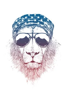 Wall art of a lion wearing sunglasses, drawn in a playful and stylish manner.