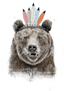 Balazs Solti, Festival bear (Hungary, Europe)