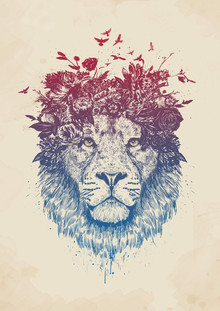Balazs Solti, Floral lion - Ungarn, Europa)