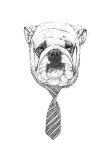 Balazs Solti, Cooldog (Hungary, Europe)