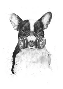 Illustration of a humorous dog wearing a mask in an urban setting