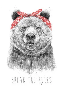 Illustration von Balazs Solti: humorvolles Zitat mit einem Bären und buntem Design