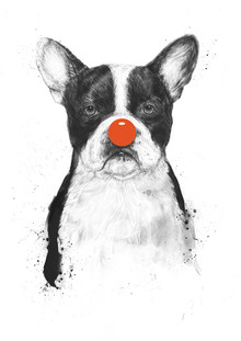 Balazs Solti, I'm not your clown (Hungary, Europe)