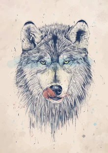 Wall art by Balazs Solti: humorous drawing of a wolf at dinner time