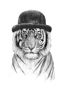 Balazs Solti, Welcome to the jungle (Hungary, Europe)