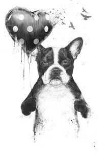 Illustration by Balazs Solti: Dog with balloon and heart motif in black and white