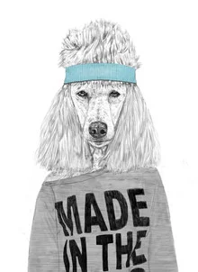 Illustration of a dog with a headband, humorous and colorful