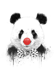 Balazs Solti, Clown panda (Hungary, Europe)