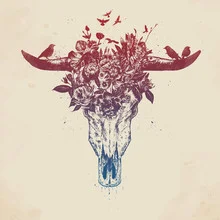 Illustration von Balazs Solti: florales Bullenschädel-Motiv im Sommerlook