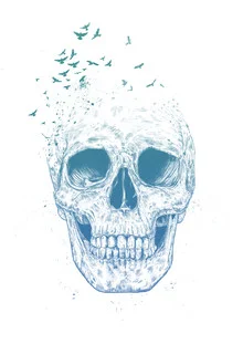 Illustration von Balazs Solti: Vögel fliegen um einen Totenkopf in einem sanften Stil.