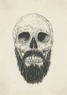 Balazs Solti, The beard is not dead (Hungary, Europe)