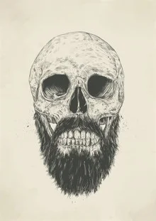 Illustration by Balazs Solti: humorous skull with beard