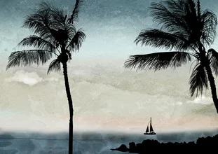 Illustration by Katherine Blower: tropical storm over the horizon