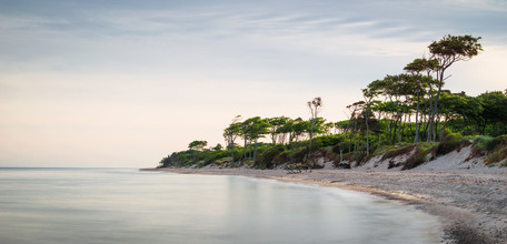 Heiko Gerlicher, Coastal Forest VII - Germany, Europe)
