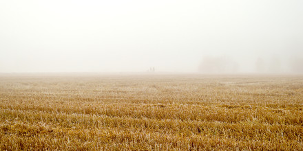 Karl Johansson, Misty Humans (Schweden, Europa)