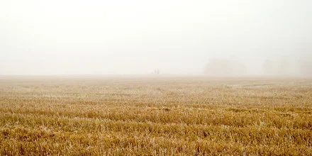 Menschliche Silhouetten im nebligen Herbstfeld, sanfte Stimmung und geheimnisvolle Atmosphäre