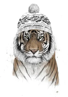 Illustration of a Siberian tiger wearing a funny winter hat.