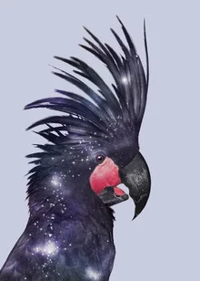 Wandbild mit einem Vogel, der durch eine Galaxie fliegt, in bunten, surrealen Farben.