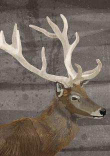 Katherine Blower, Stag