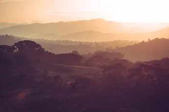 Kubanische Landschaft im Morgenlicht mit Bäumen und goldenen Farbtönen.