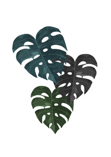 Christina Ernst, Monstera (Germany, Europe)
