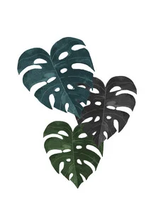Illustration einer Monstera-Pflanze mit üppigen Blättern im tropischen Stil