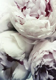 Wall art featuring peonies in soft pink and green tones by Christina Ernst