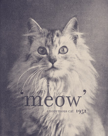 Florent Bodart, Famous Quote Cat - Frankreich, Europa)