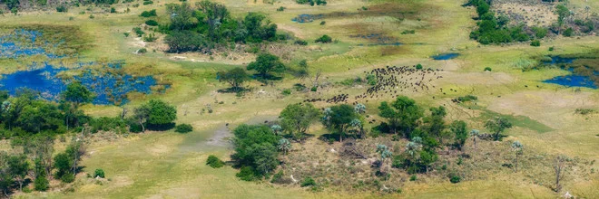 Aerial view of the Okavango Delta in Botswana showcasing green waterways and gentle hills.