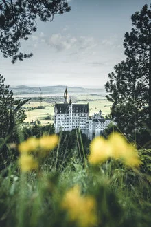 Fotokunst von Philipp Steiger: romantisches Bild von Schloss Neuschwanstein im Morgenlicht.