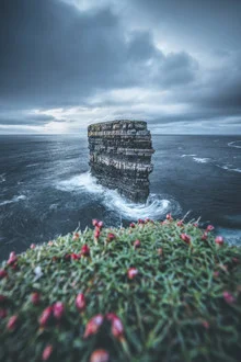 Fotokunst von Philipp Steiger: Küstenlandschaft mit Felsen und blühenden Blumen