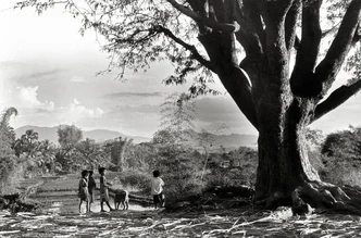 Photo art by Silva Wischeropp: children playing under a big tree in Vietnam.