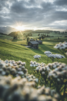 Philipp Steiger, Wake up - Italy, Europe)